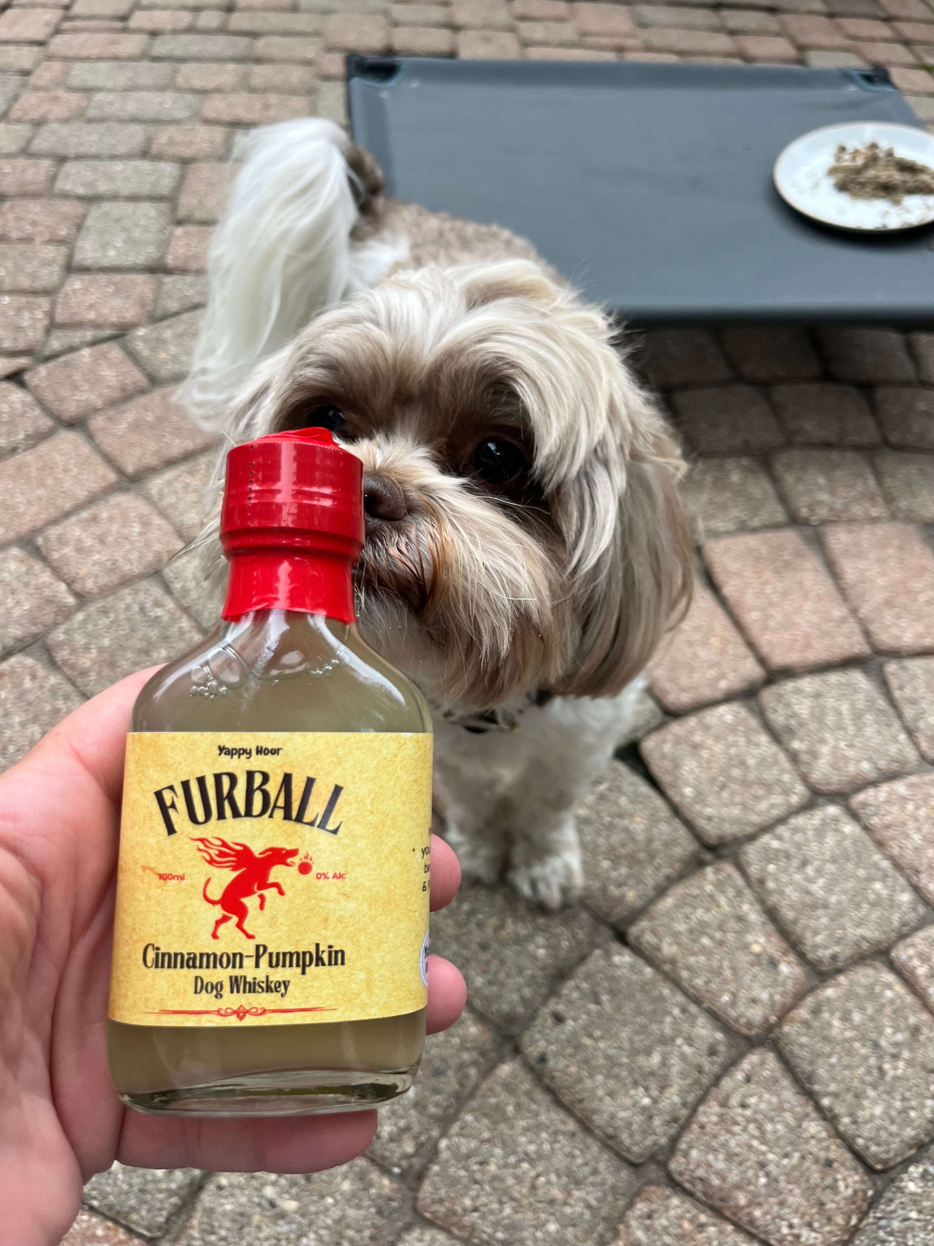 Furball Dog Whiskey Miniatures 4ct by Yappy Hour