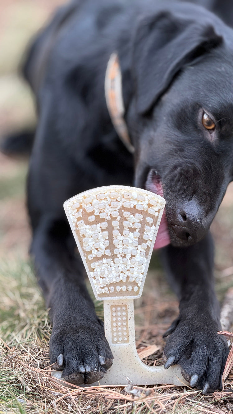 Waffle Tower Nylon Chew & Enrichment Toy | 2-in-1 for Aggressive Chewers | SodaPup by SodaPup/True Dogs, LLC