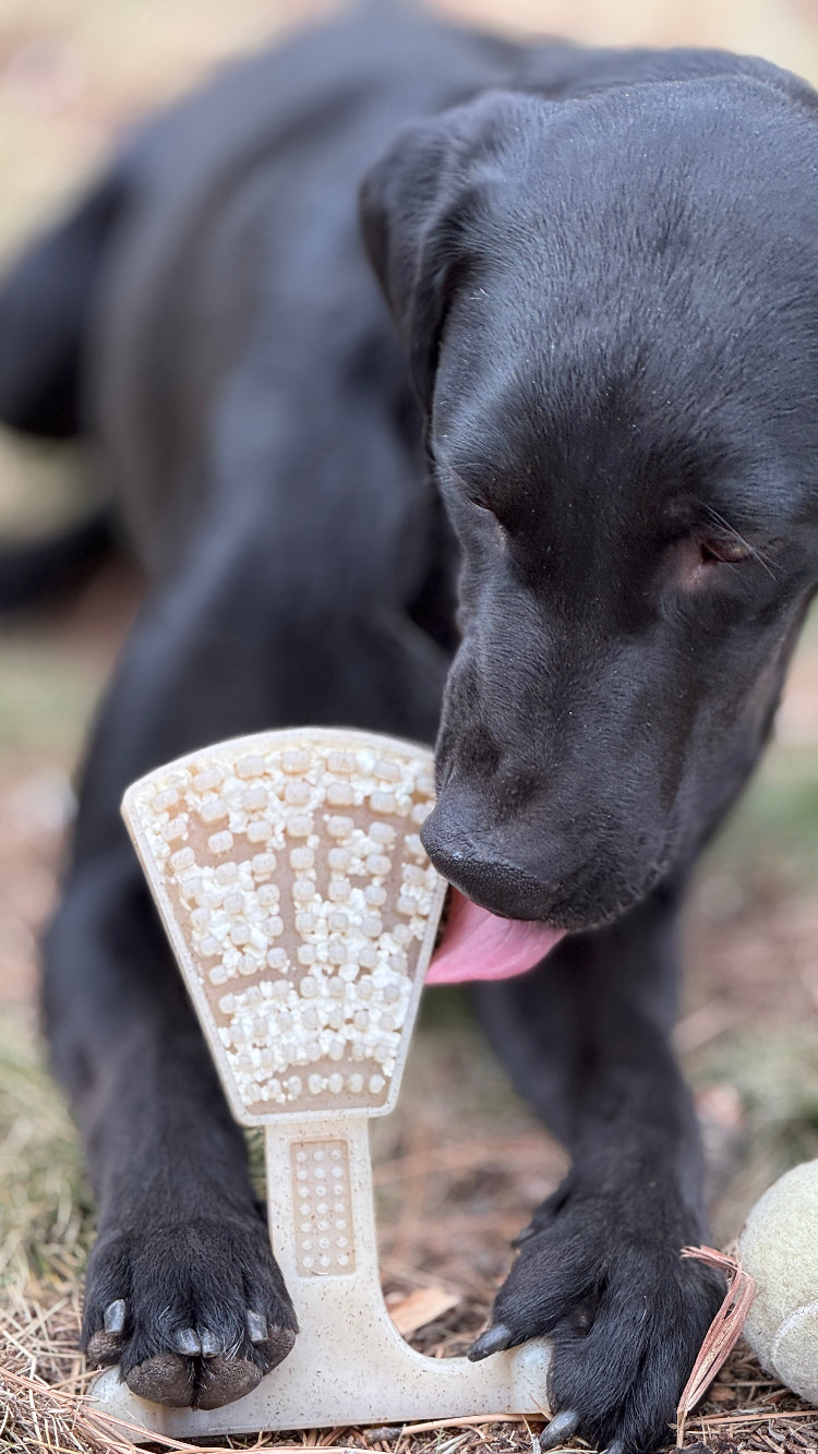 Waffle Tower Nylon Chew & Enrichment Toy | 2-in-1 for Aggressive Chewers | SodaPup by SodaPup/True Dogs, LLC