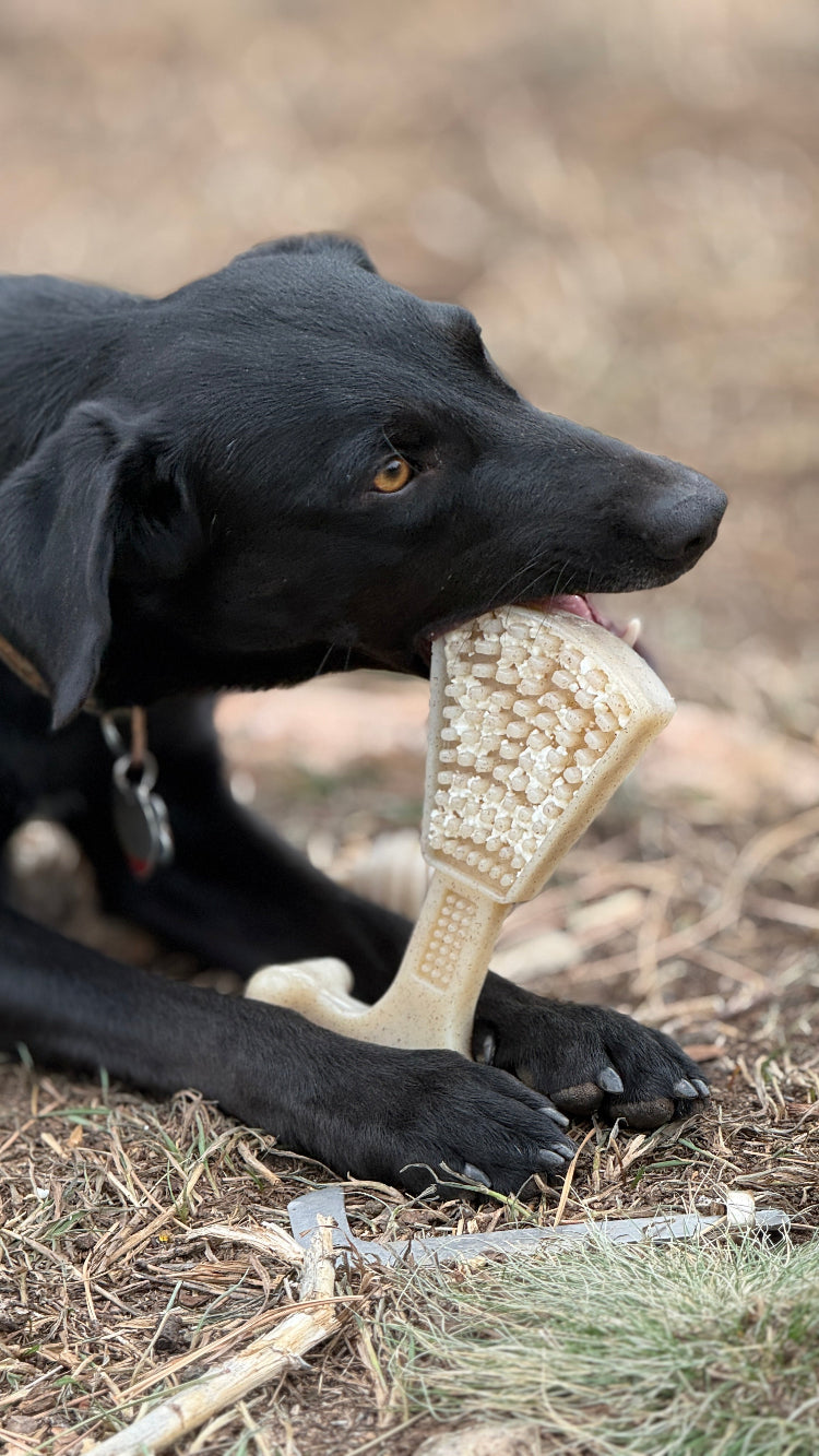 Waffle Tower Nylon Chew & Enrichment Toy | 2-in-1 for Aggressive Chewers | SodaPup by SodaPup/True Dogs, LLC