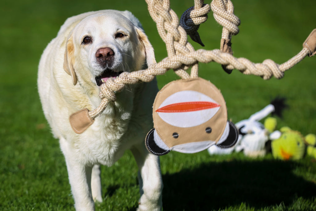 Stuey Sock Monkey Natural Rope Knottie® Dog Toy, Large (9mm rope diameter) by HuggleHounds