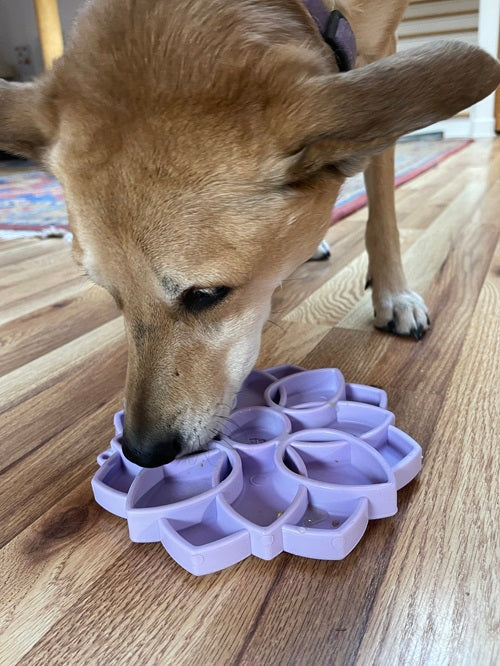 Mandala Softie eTray Shallow Slow Feeder Dog Bowl with Suction Cups | USA Made by SodaPup/True Dogs, LLC
