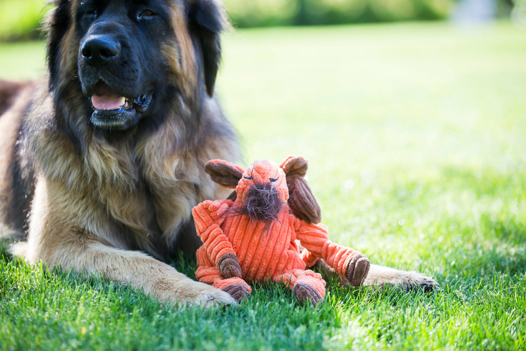 Morris Moose Knottie® Plush Dog Toy by HuggleHounds