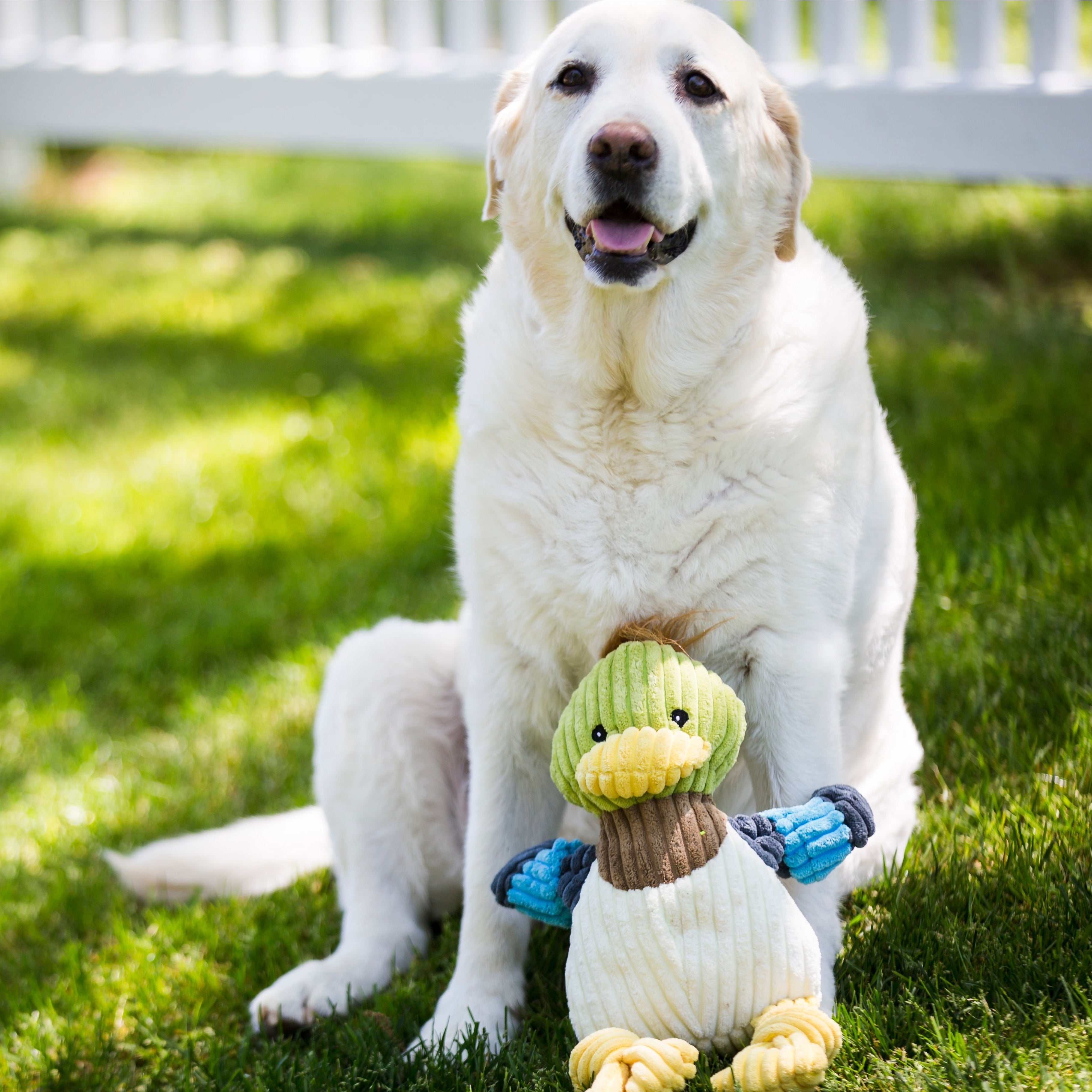 Dilly Duck Knottie® Plush Dog Toy by HuggleHounds