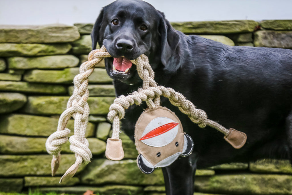 Natural Rope Knottie® Dog Toys, 3 Pack, XL (16mm rope diameter) by HuggleHounds