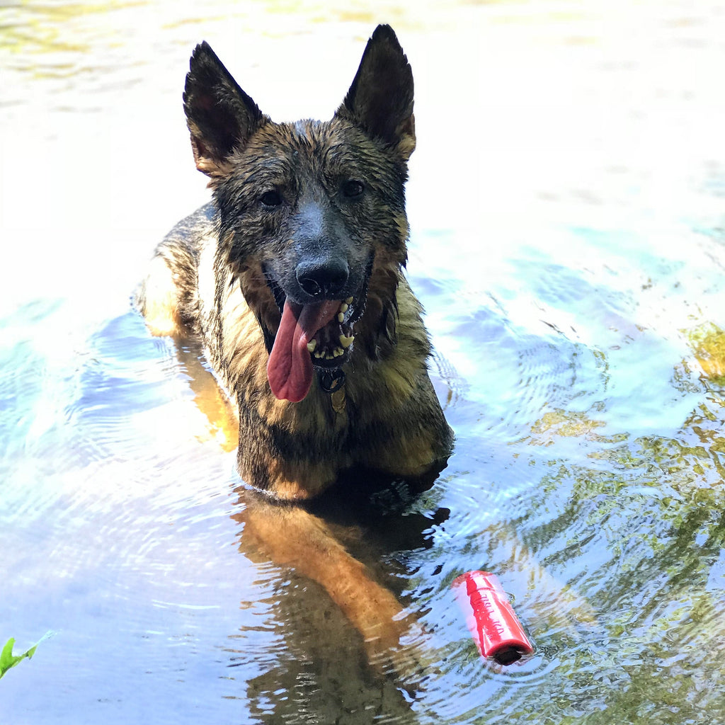 USA-K9 Firecracker Floating Training Dummy | K9 Handler Reward Toy | Red | USA Made by SodaPup/True Dogs, LLC