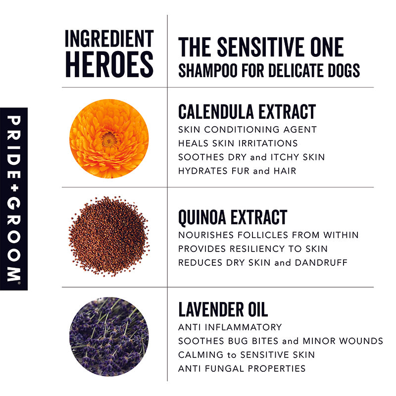THE SENSITIVE ONE Dog Shampoo by PRIDE+GROOM