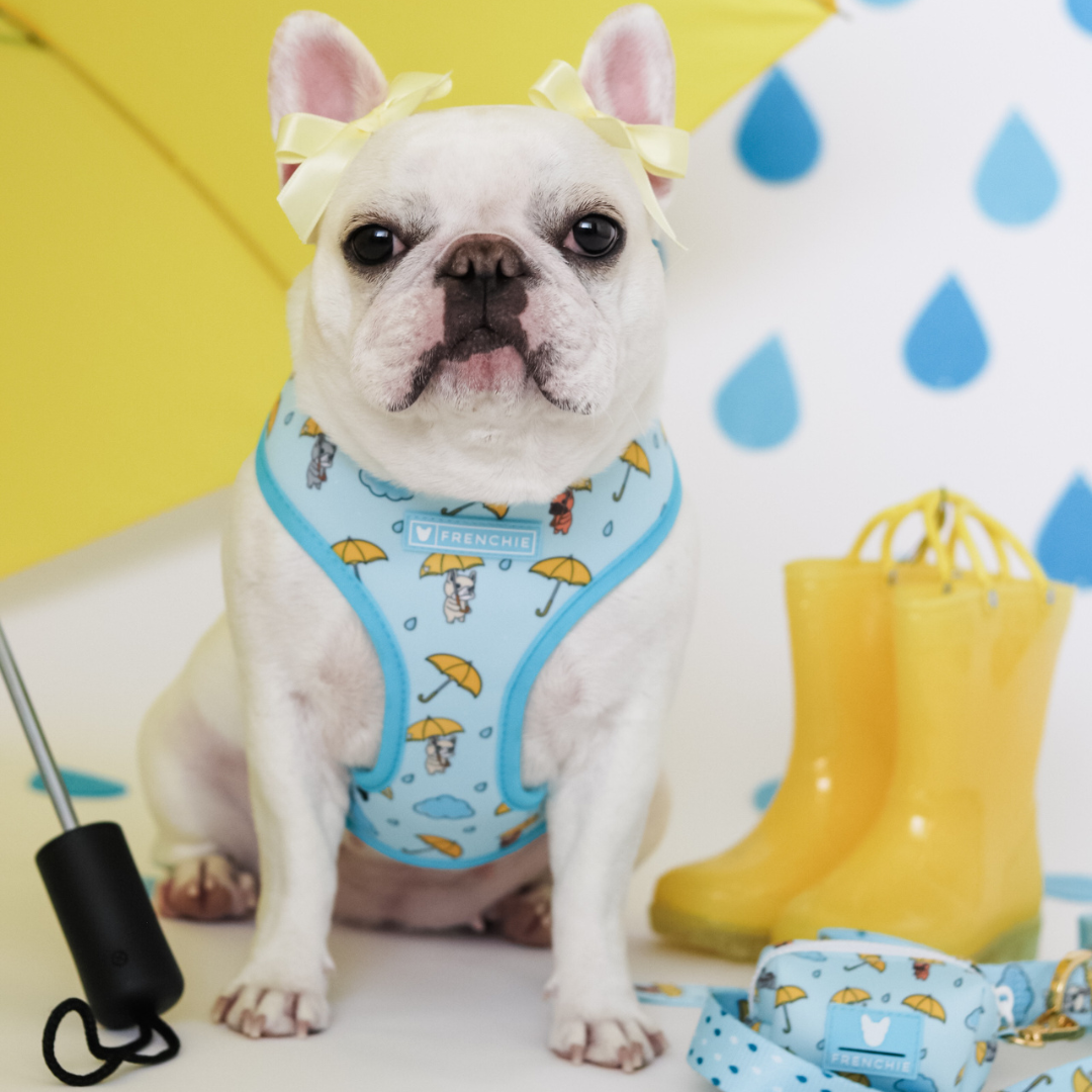 Frenchie Duo Reversible Harness - It's Raining Frenchies by Frenchie Bulldog