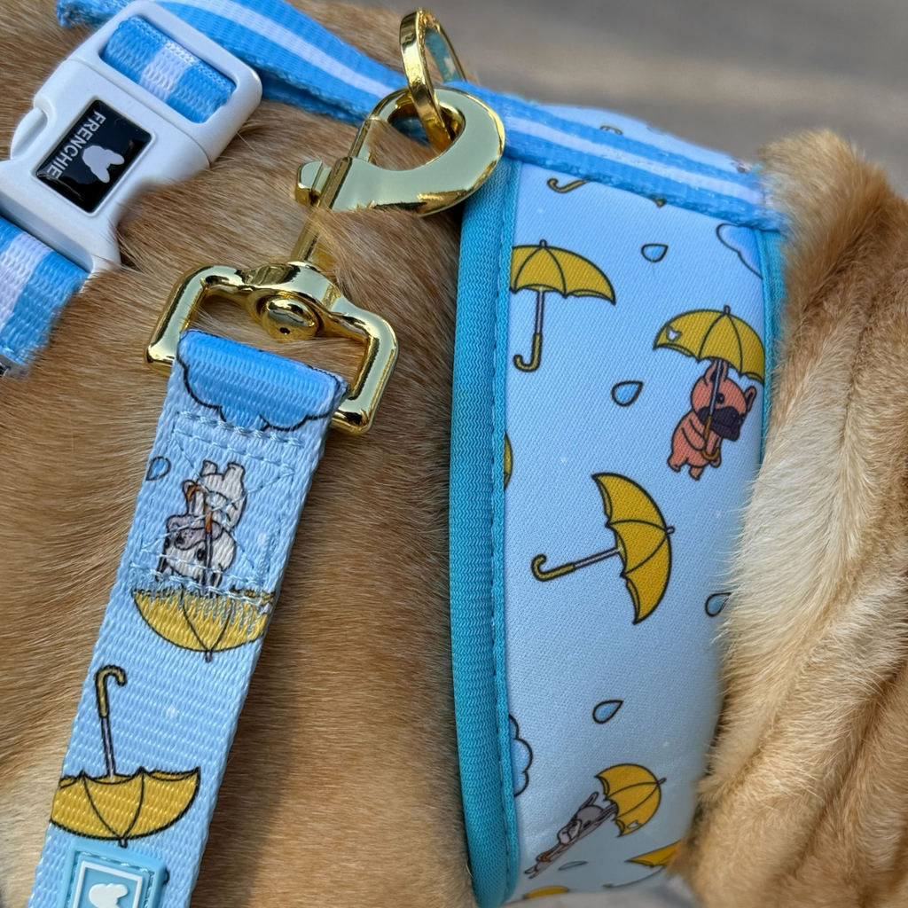 Frenchie Duo Reversible Harness - It's Raining Frenchies by Frenchie Bulldog