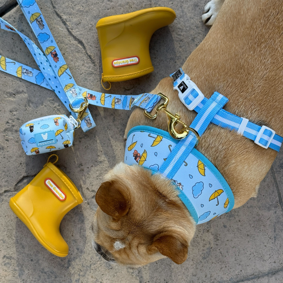 Frenchie Duo Reversible Harness - It's Raining Frenchies by Frenchie Bulldog