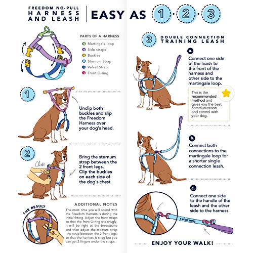 Orange Paisley Freedom No-Pull Dog Harness – EarthStyle by 2 Hounds Design