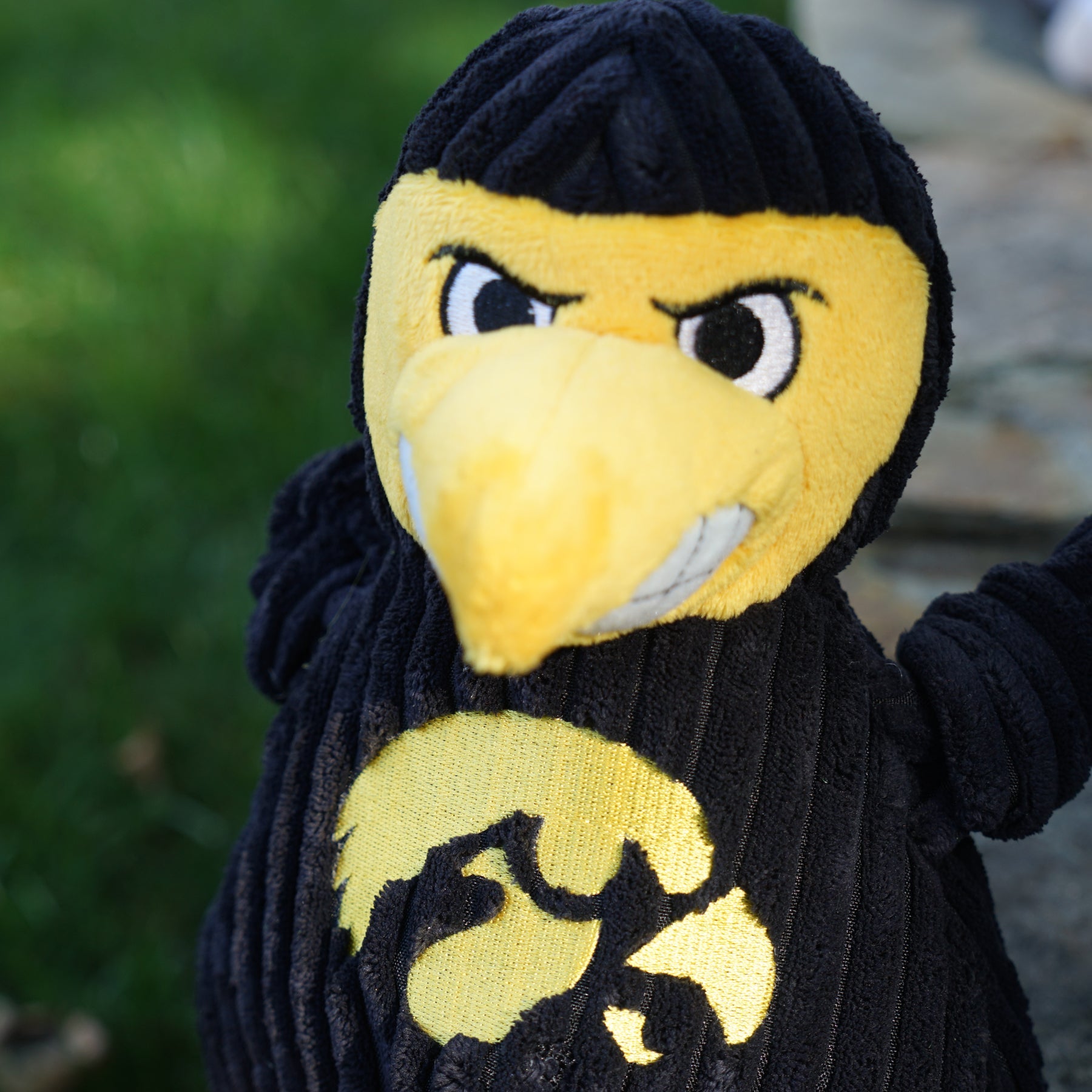 NCAA University of Iowa - Herky the Hawk Knottie® Plush Dog Toy by HuggleHounds