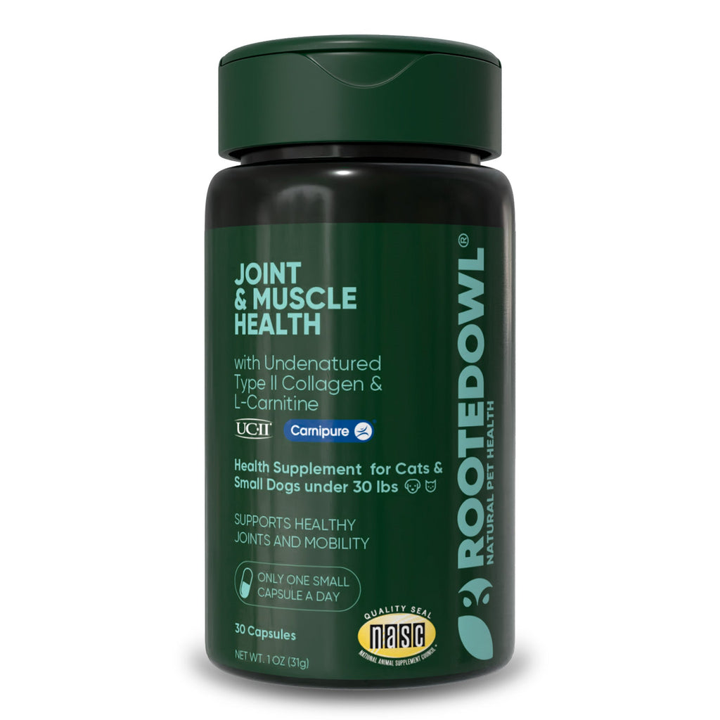 Joint & Muscle Health (Medium & Large Dogs) by Rooted Owl Pet Supplements