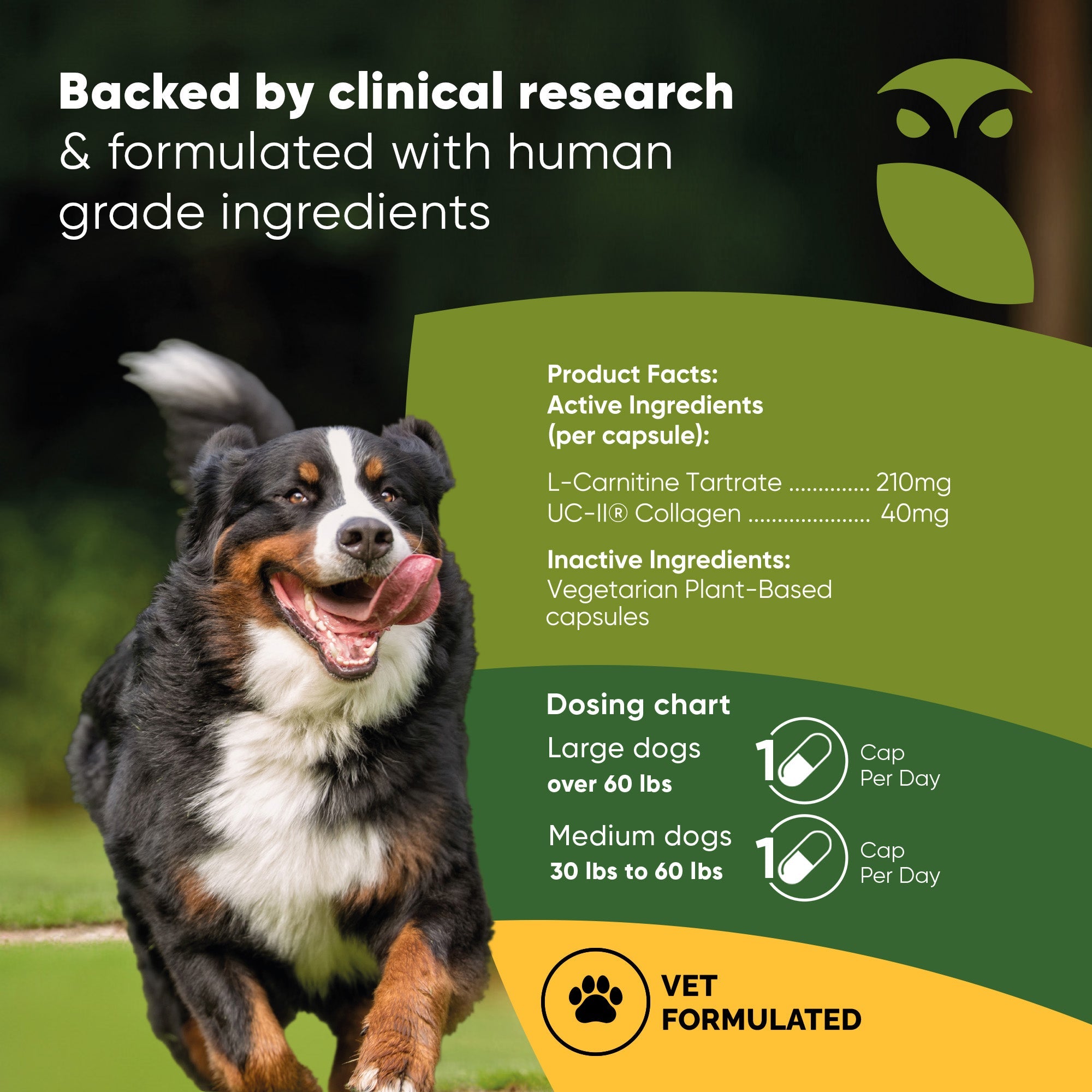 Joint & Muscle Health (Medium & Large Dogs) by Rooted Owl Pet Supplements