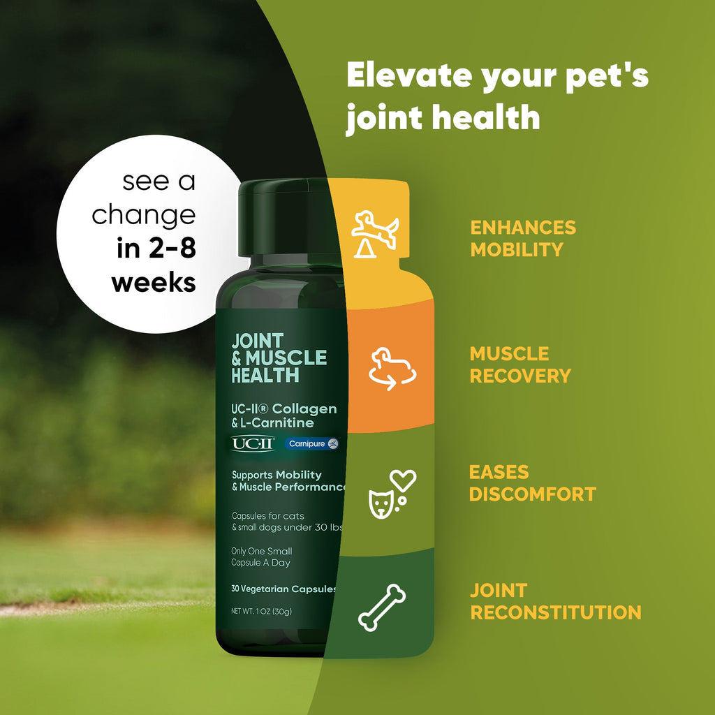 Joint & Muscle Health (Medium & Large Dogs) by Rooted Owl Pet Supplements