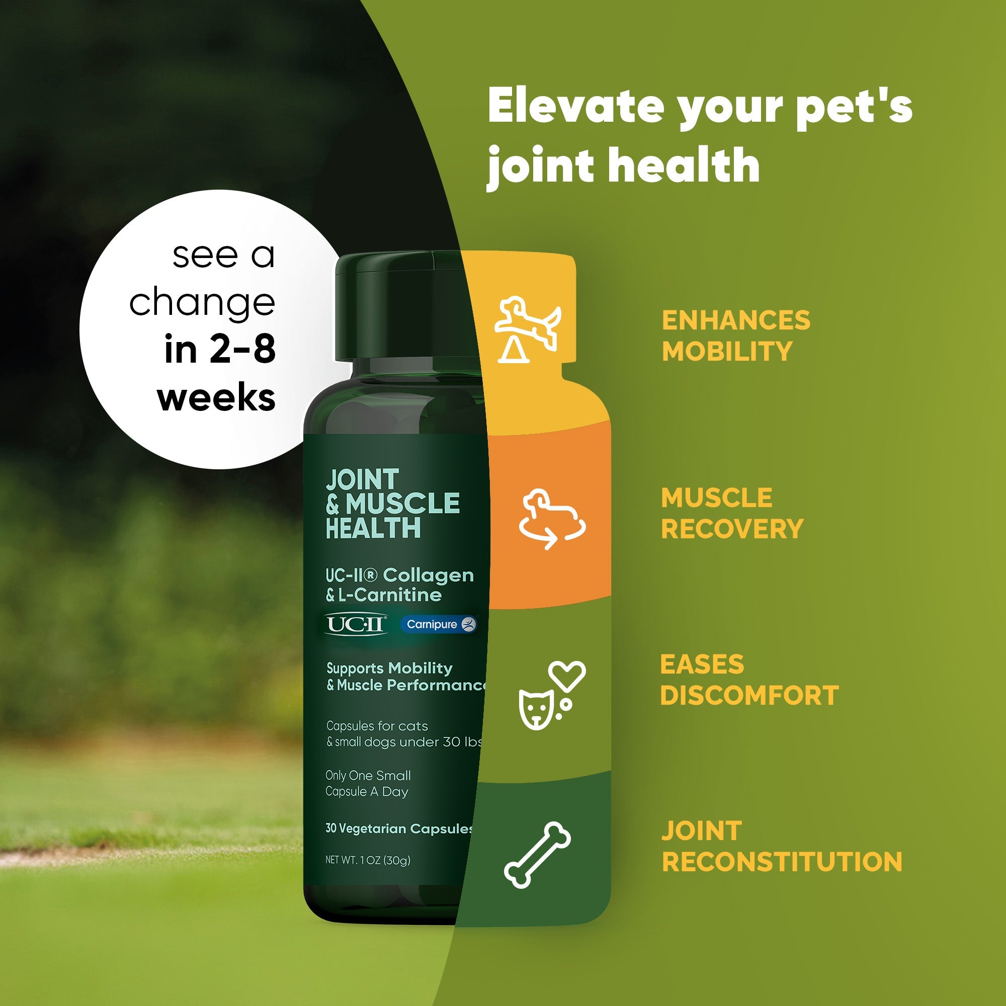 Joint & Muscle Health (Medium & Large Dogs) by Rooted Owl Pet Supplements