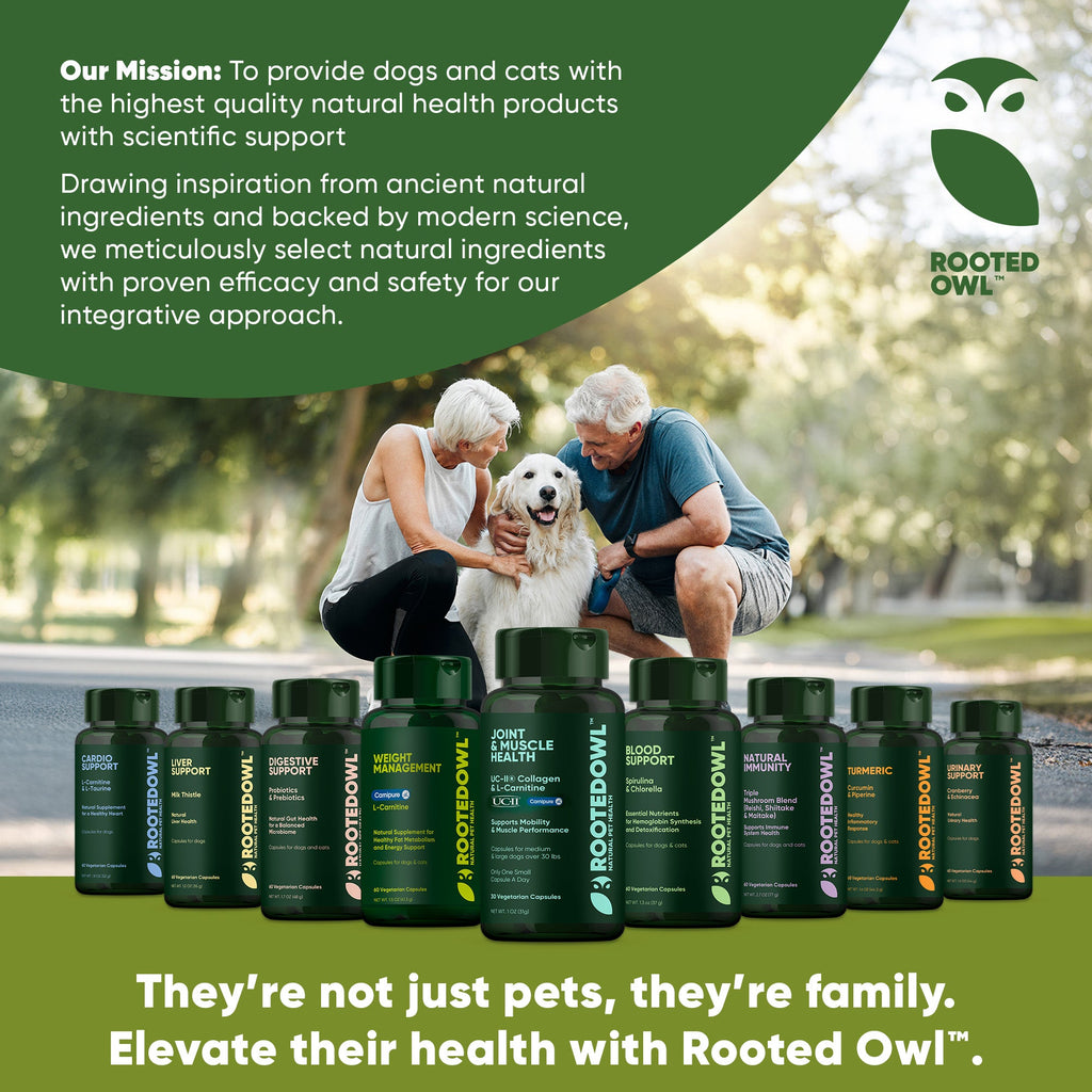 Joint & Muscle Health (Medium & Large Dogs) by Rooted Owl Pet Supplements