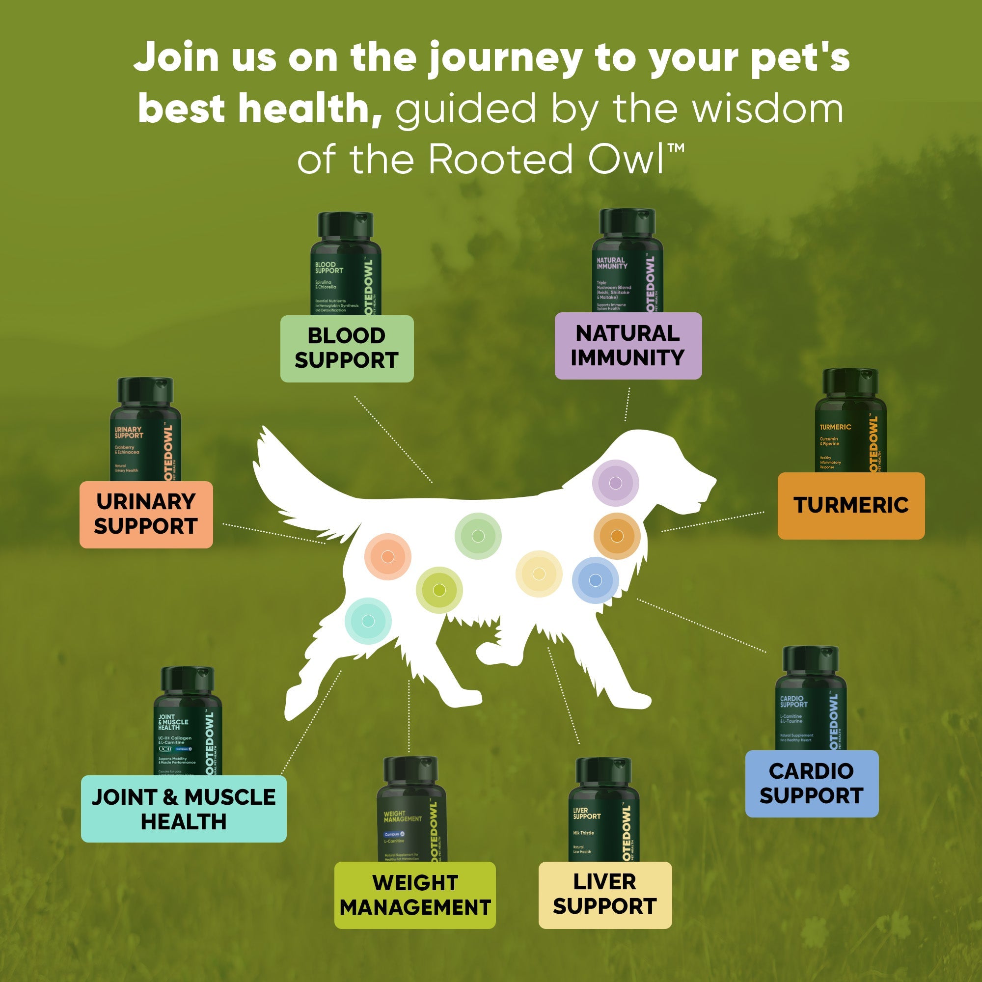 Joint & Muscle Health (Medium & Large Dogs) by Rooted Owl Pet Supplements