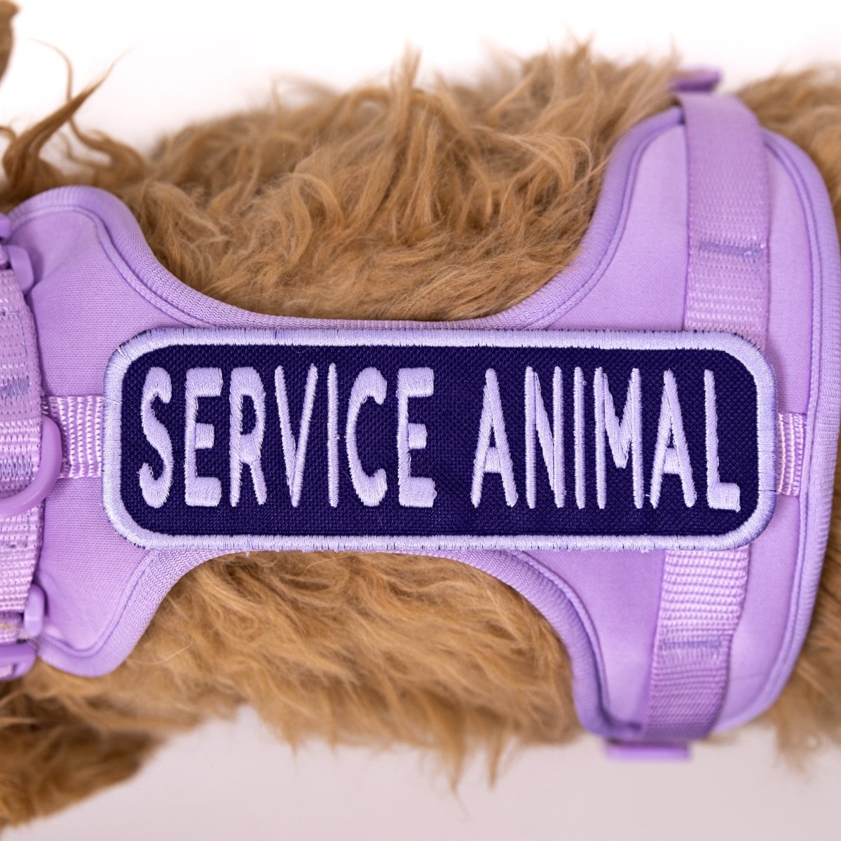 Service Animal 2x6 Patch by K9 Sport Sack