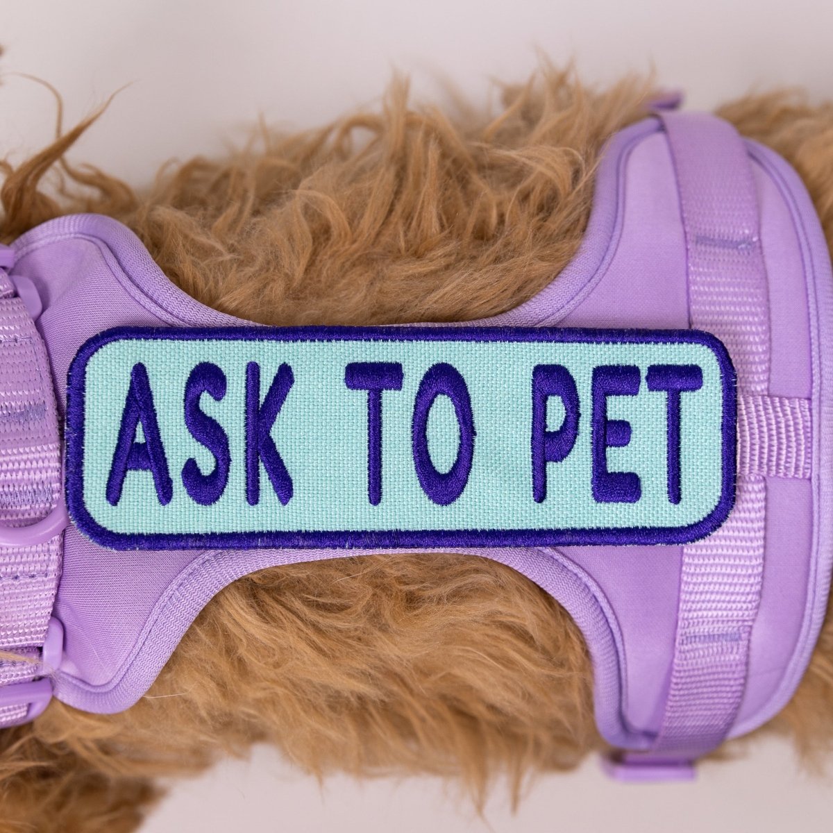 Ask to Pet 2x6 Patch by K9 Sport Sack