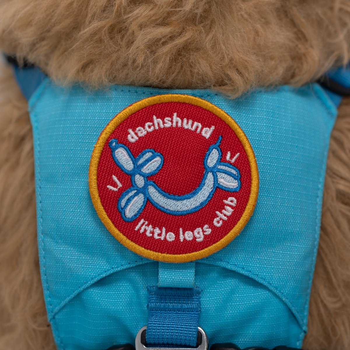 Dachshund Little Legs Club Patch by K9 Sport Sack