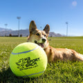 Too Big to Chew Tennis Ball by K9 Sport Sack