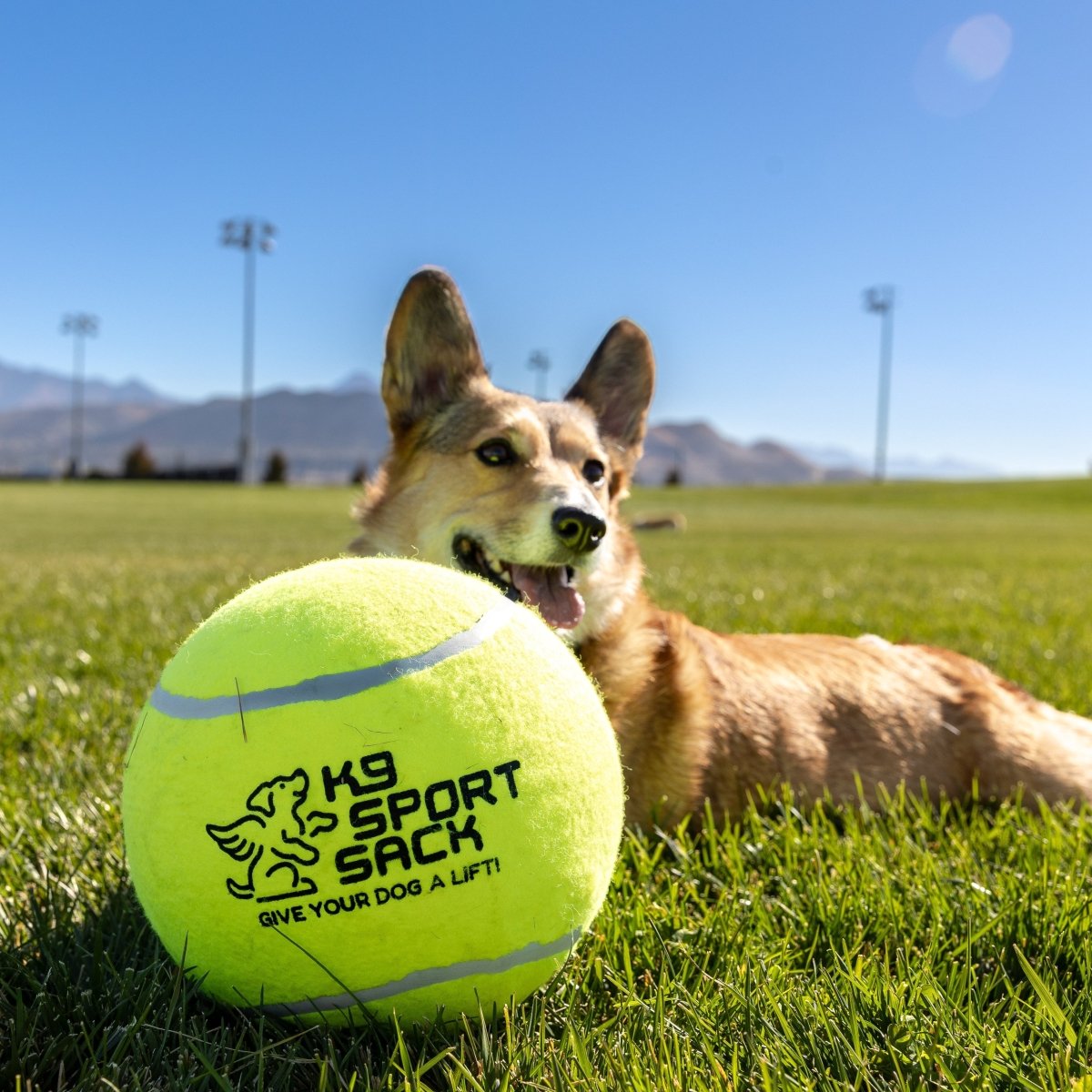 Too Big to Chew Tennis Ball by K9 Sport Sack