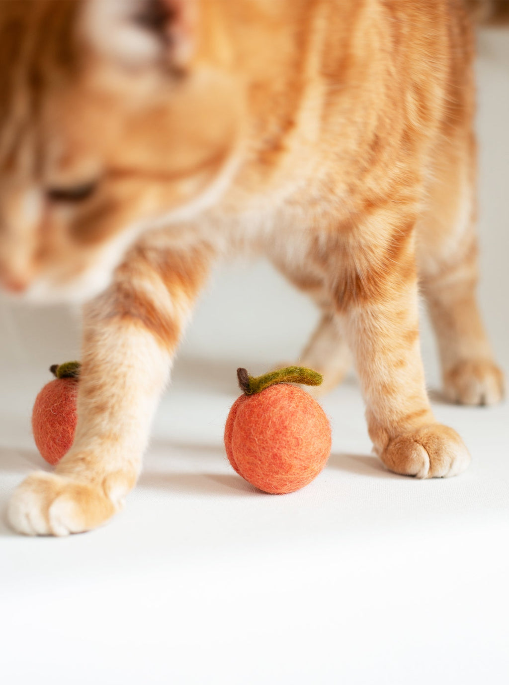 PEACH WOOL DOG & CAT TOY by MODERNBEAST