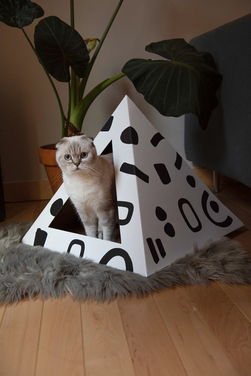 Doodle Cardboard Cat Pyramid by KittyKardboard