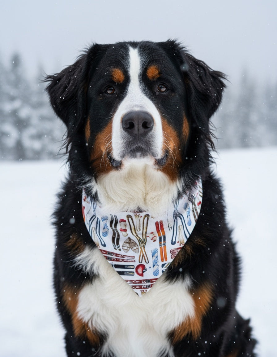 Skiing Dog Bandana by Happy Tails Outfitters