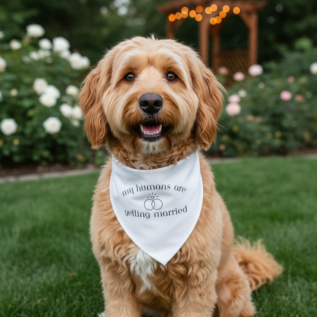 My Humans Are Getting Married Dog Bandana New Arrival by Happy Tails Outfitters