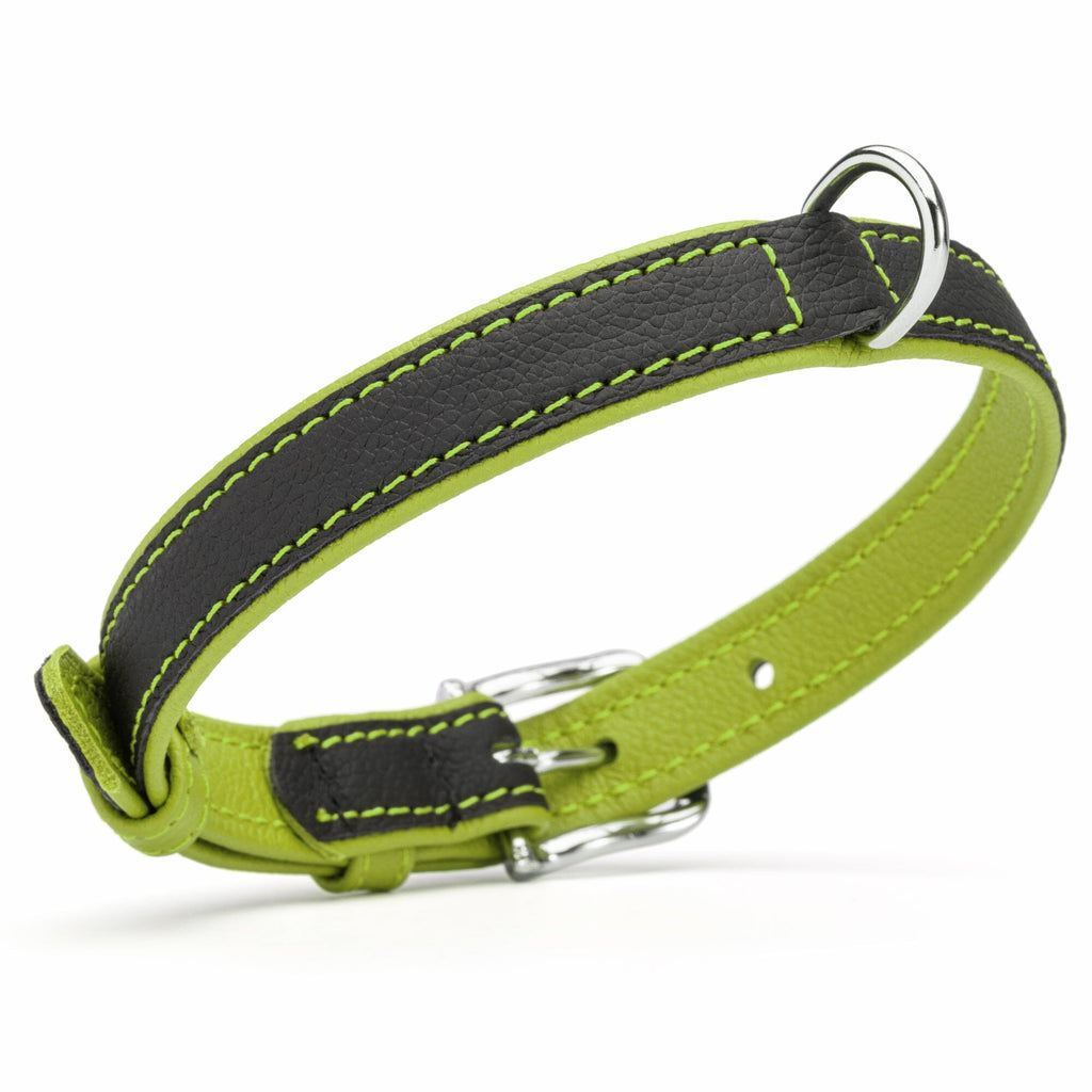 Soft Leather Dual-Color Flat Dog Collar by Dogline