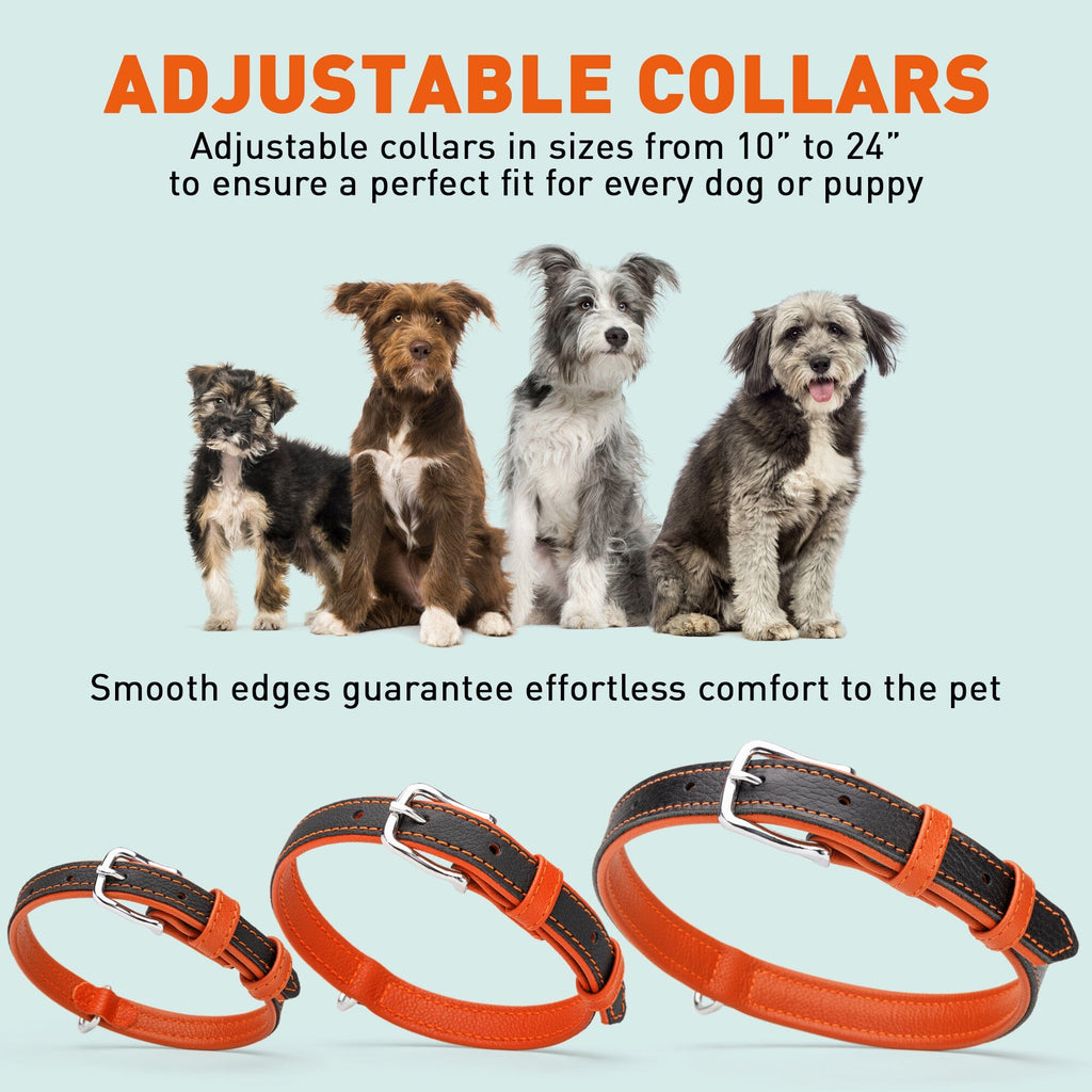 Soft Leather Dual-Color Flat Dog Collar by Dogline
