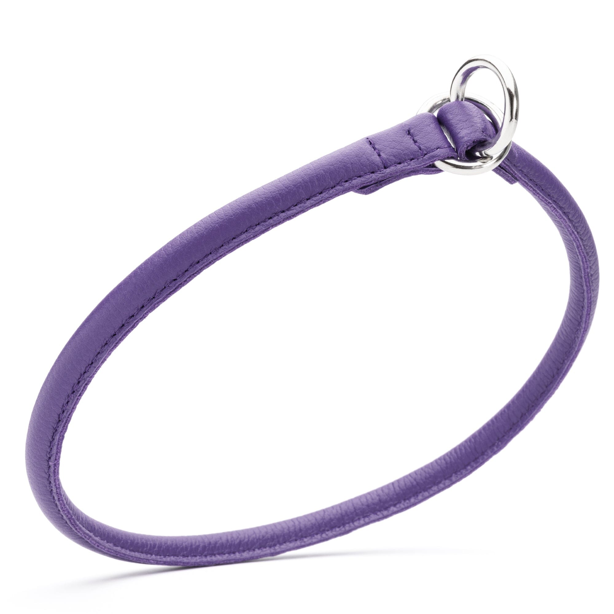 Soft Leather Round Slip Collar by Dogline