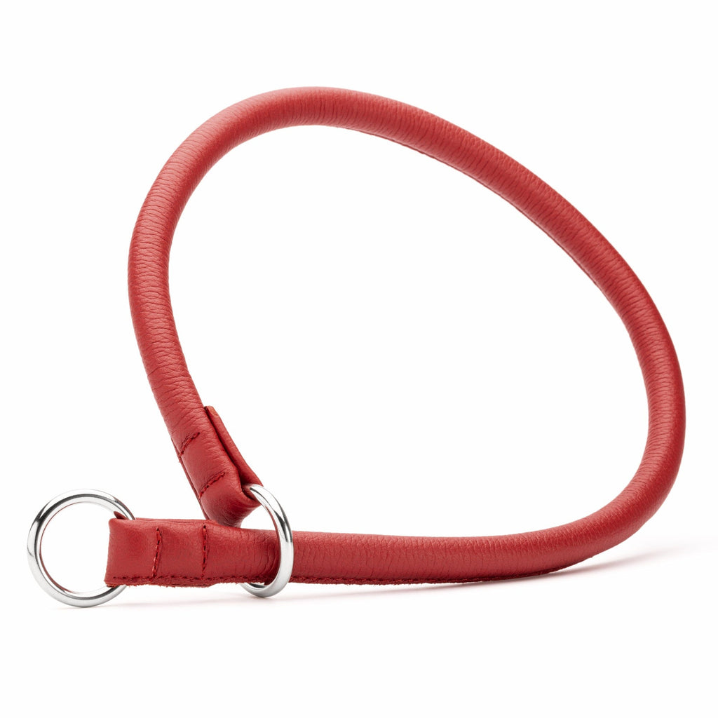 Soft Leather Round Slip Collar by Dogline