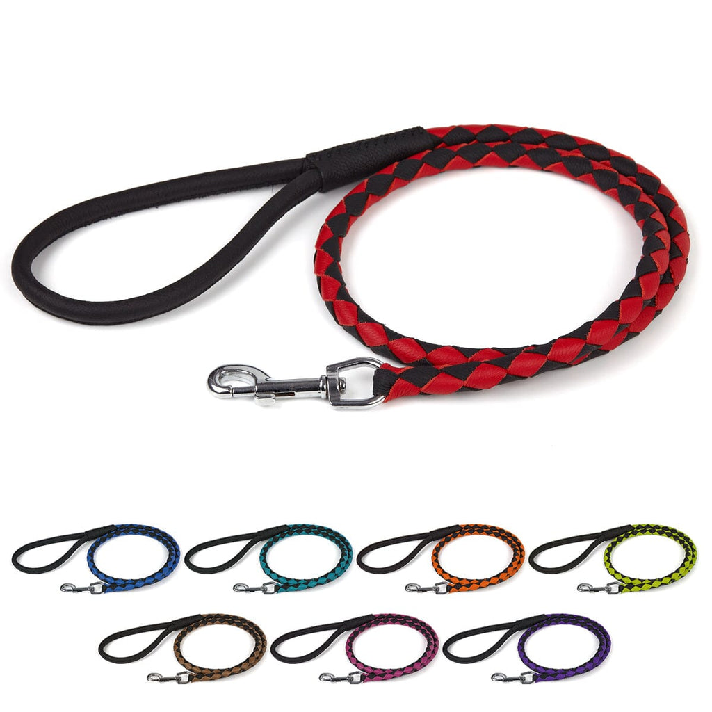 Soft Leather Dual-Color Braided Round Lead by Dogline