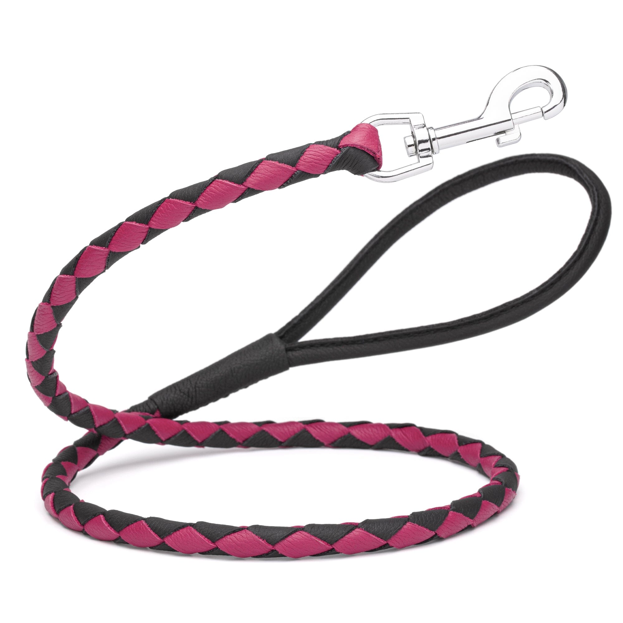 Soft Leather Dual-Color Braided Round Lead by Dogline
