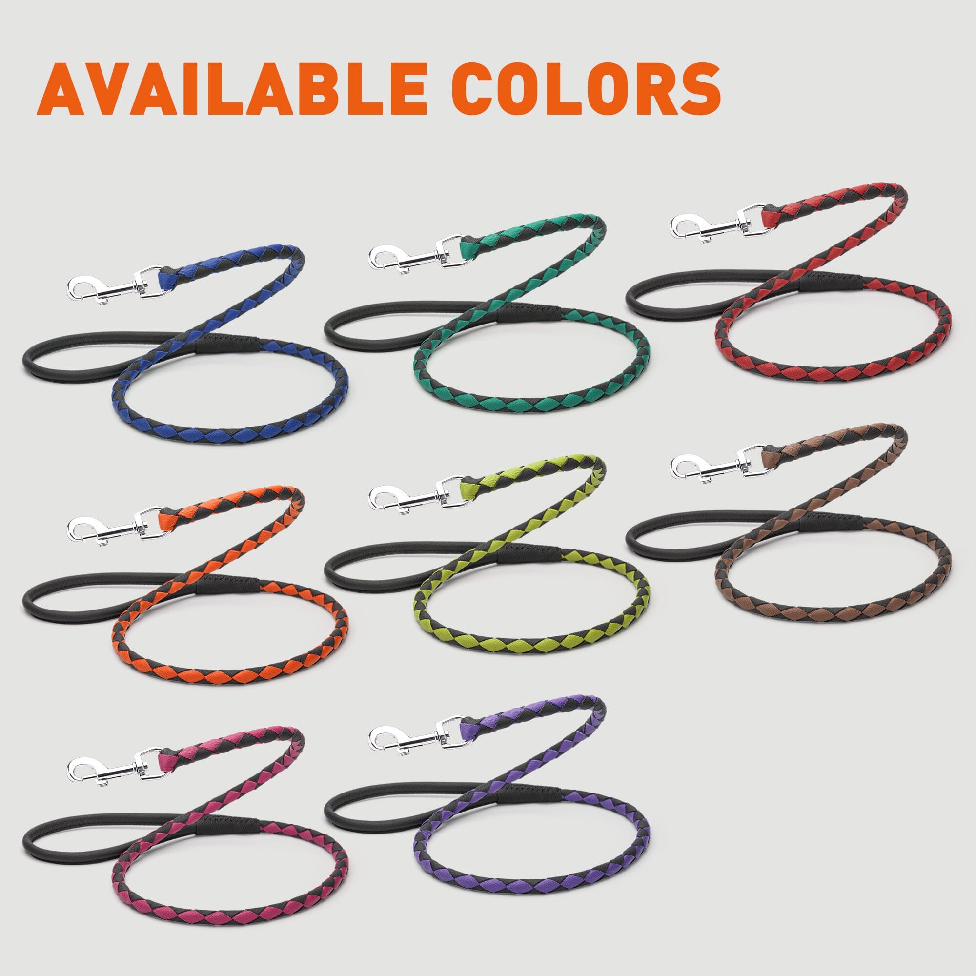 Soft Leather Dual-Color Braided Round Lead by Dogline