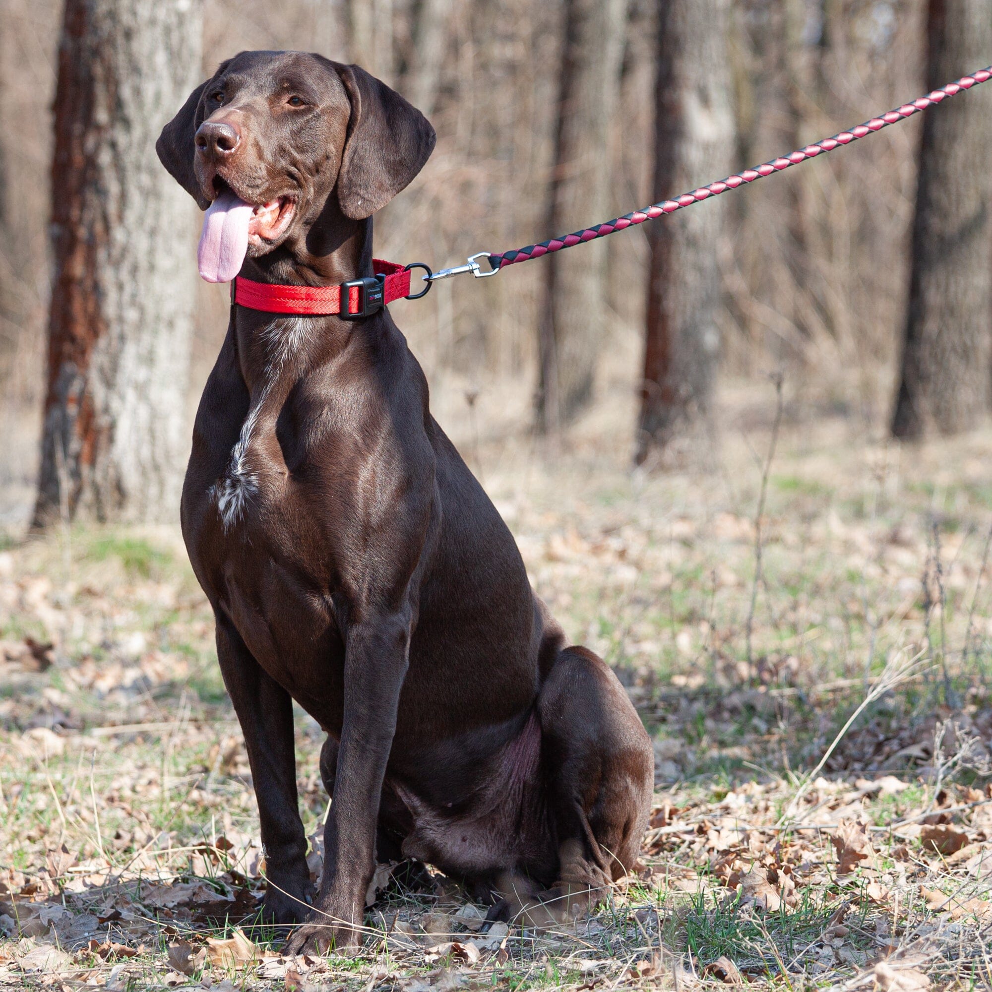 Soft Leather Dual-Color Braided Round Lead by Dogline