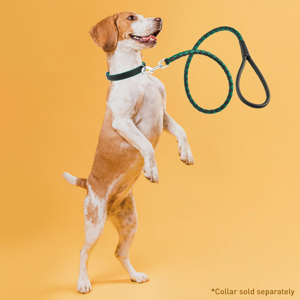 Soft Leather Dual-Color Braided Round Lead by Dogline