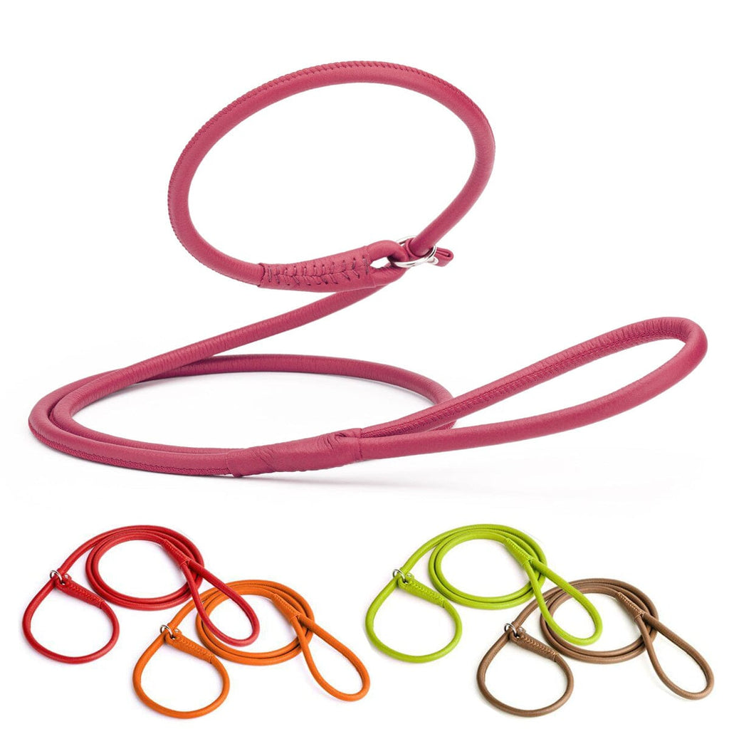 Soft Leather Round Slip Lead for Dogs by Dogline