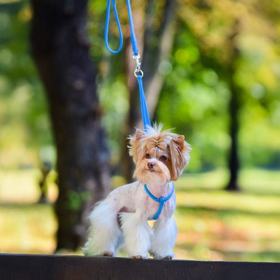Soft Leather Round Step-In Dog Harness + Round Dog Lead by Dogline