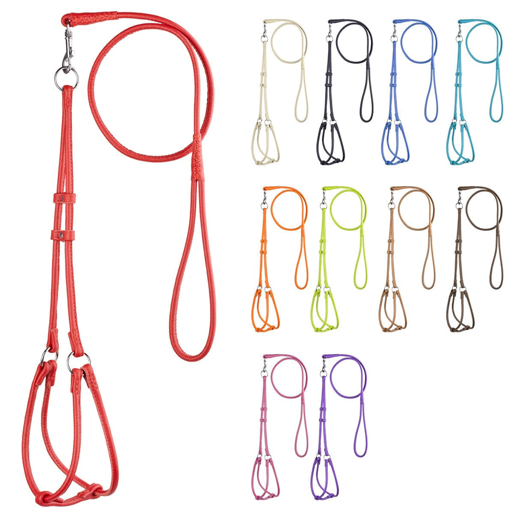 Soft Leather Round Step-In Dog Harness + Round Dog Lead by Dogline