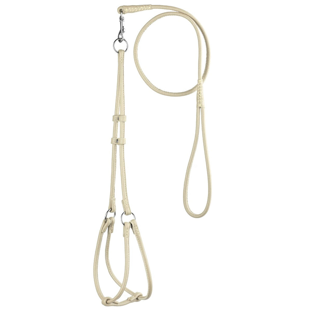 Soft Leather Round Step-In Dog Harness + Round Dog Lead by Dogline