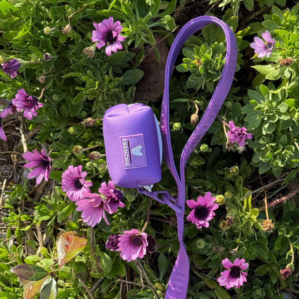 Frenchie Poo Bag Holder - Solid Purple by Frenchie Bulldog