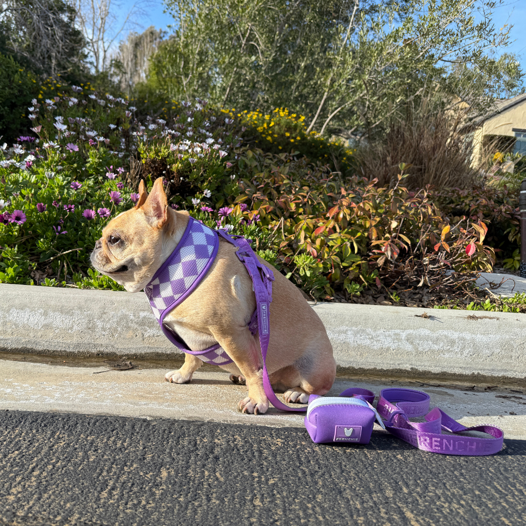 Frenchie Poo Bag Holder - Solid Purple by Frenchie Bulldog