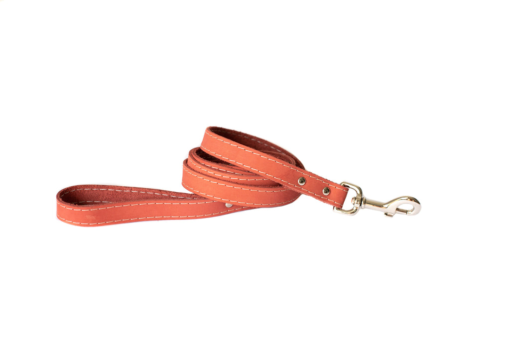 Pro Line Hunting Coral Reef Leather Leash by Euro-Dog Collars and Leads