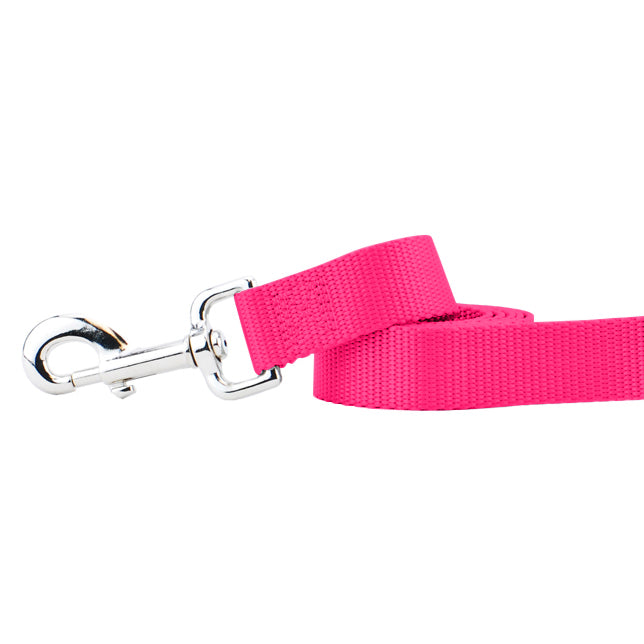 Hot Pink Nylon Dog Leash by 2 Hounds Design