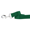Kelly Green Nylon Dog Leash by 2 Hounds Design