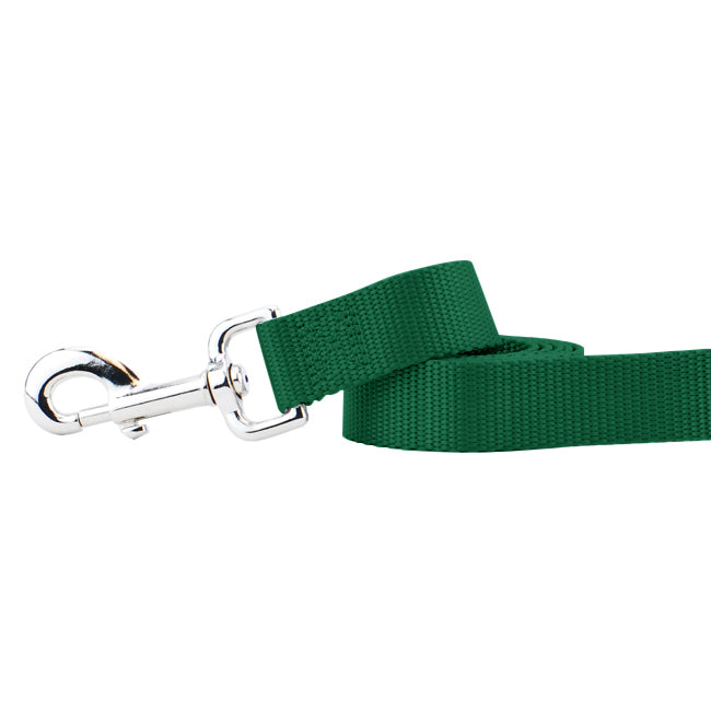 Kelly Green Nylon Dog Leash by 2 Hounds Design